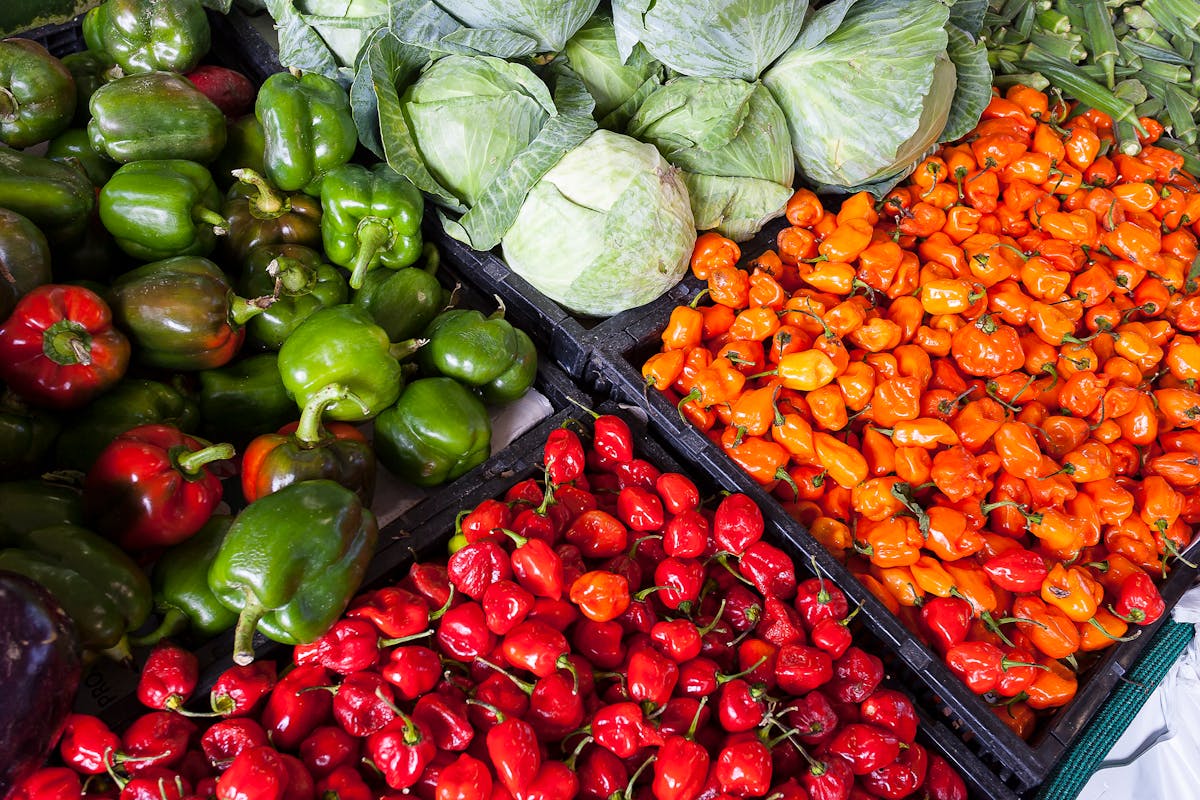 Fresh vegetables and herbs